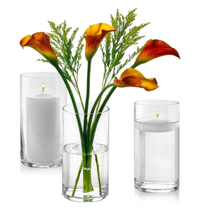 Borosilicate Vase