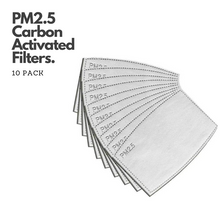 Load image into Gallery viewer, Simpli PM2.5 Replacement Filters 10 Pack
