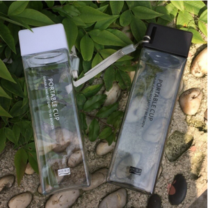 Fruit Infuser Water Bottle 450ml Transparent