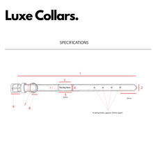 Load image into Gallery viewer, TDM Luxe Collar
